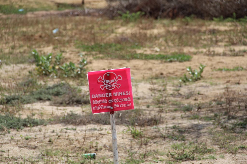 Mine-clearing operations around the old defensive positions. These volunteers are truly courageous!