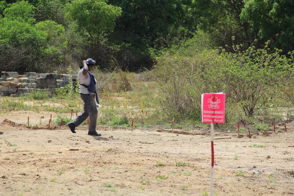 Mine-clearing operations are being conducted around the old defensive positions. These volunteers are truly courageous!