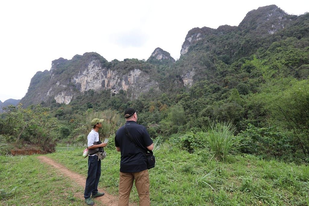 Micro-terrain: The limestone cliffs at Coc Xa. Battle of Route Coloniale 4 (1950)