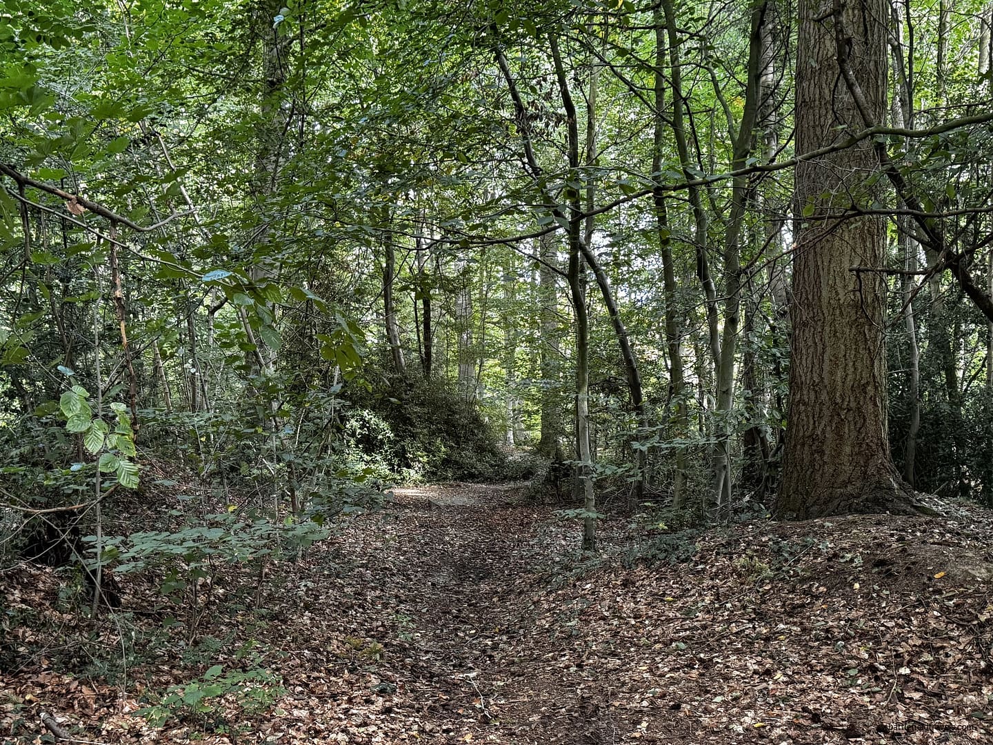 📝🔒 Field Note: Battle of Teutoburg Forest (Kalkriese), Germany, AD 9