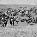 Settler wagon train on the way to the riches of the Black Hills. Settler movements like this forced a response from the Plains indians who were being forced from the lands promised to them.