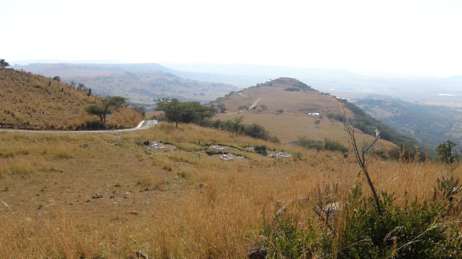 Micro-terrain. Spion Kop battlefield, looking north towards Conical Hill over a cluster of Boer graves. The British never occupied this crest.