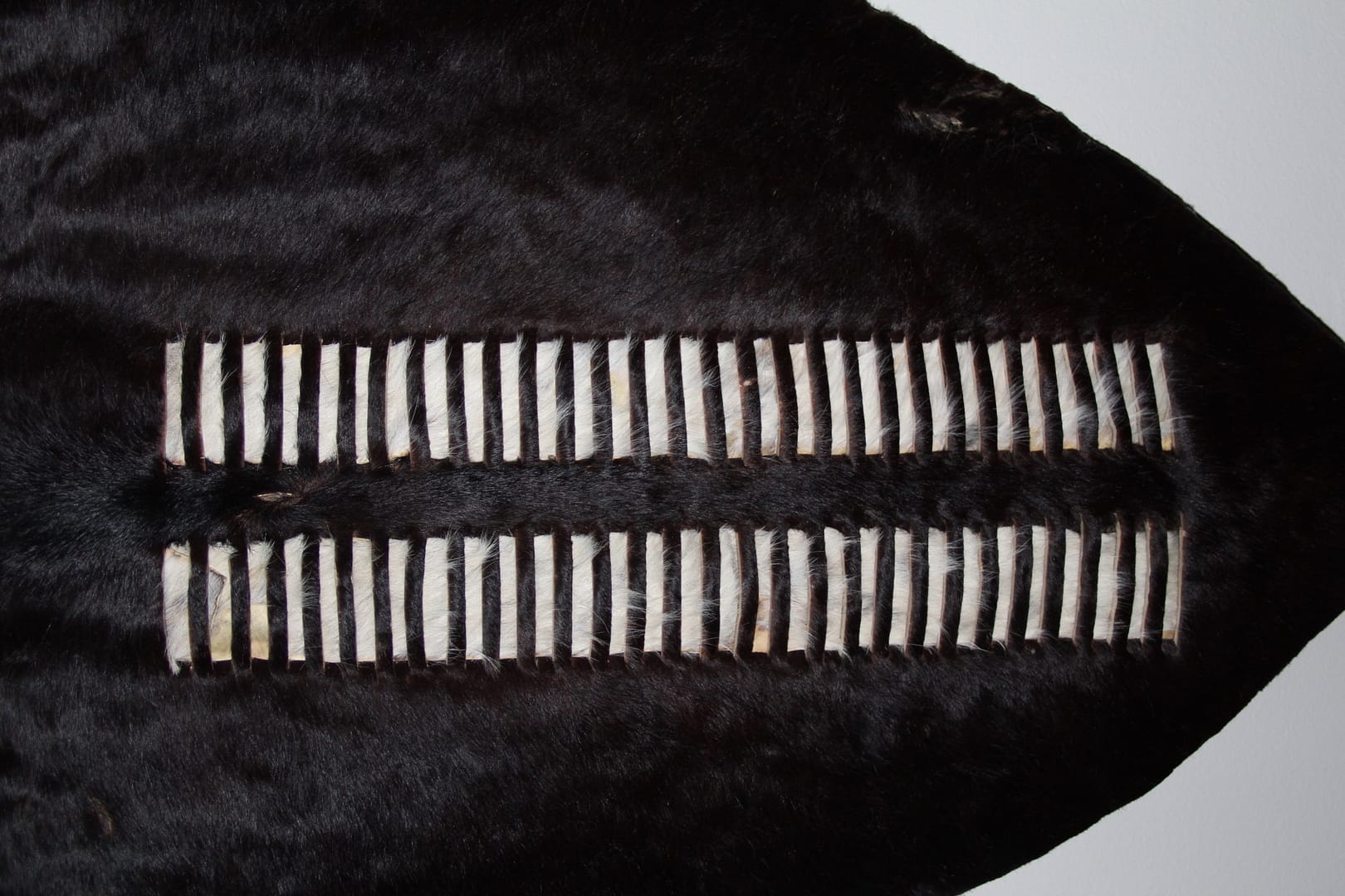 Zulu Nguni cow hide shields. Black: uFasimbi Regiment. White with scattered black spots: amaMboza Regiment. Iklwa stabbing spears and Knobkerrie war clubs