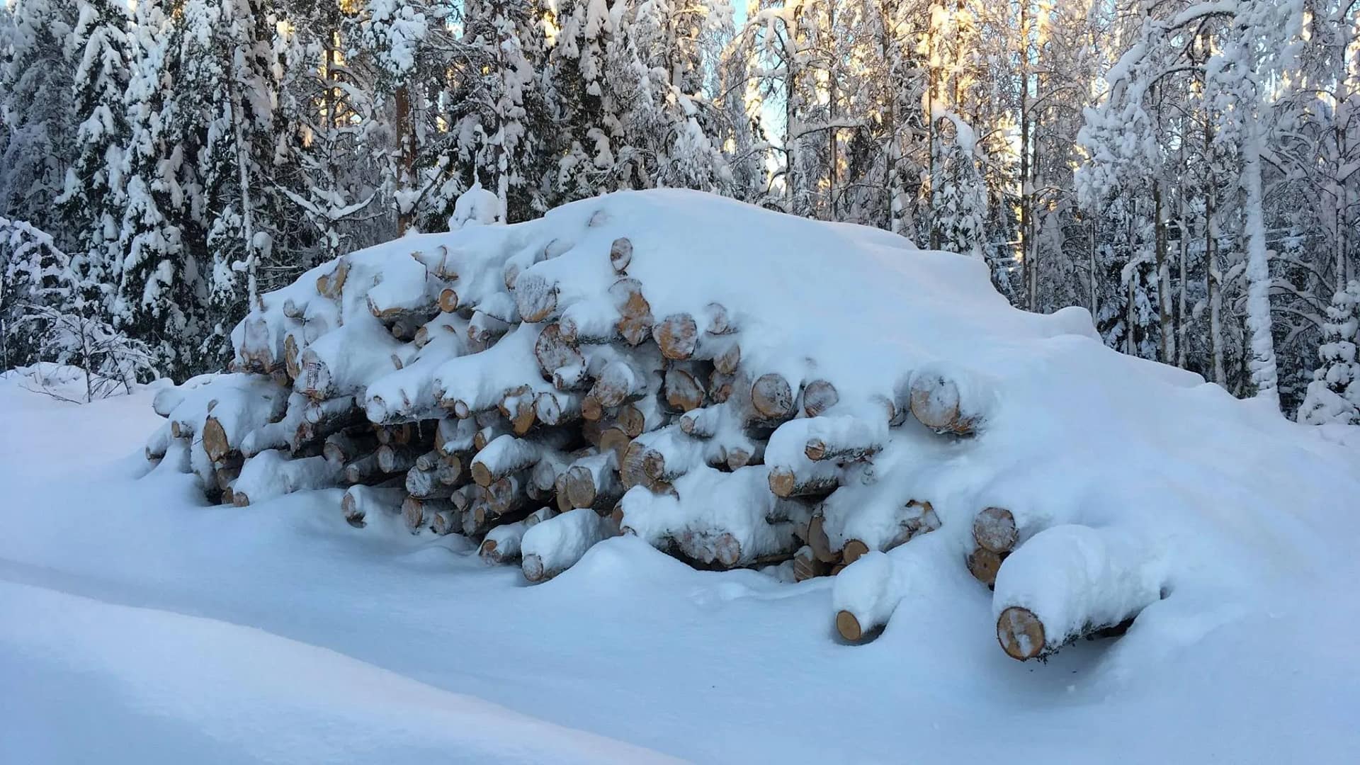 Micro-terrain. Raate Road battlefield. 'Motti' is the Finnish word to describe these piles of chopped firewood on the roadside. The same word was used to describe the tactics used against the Red Army.