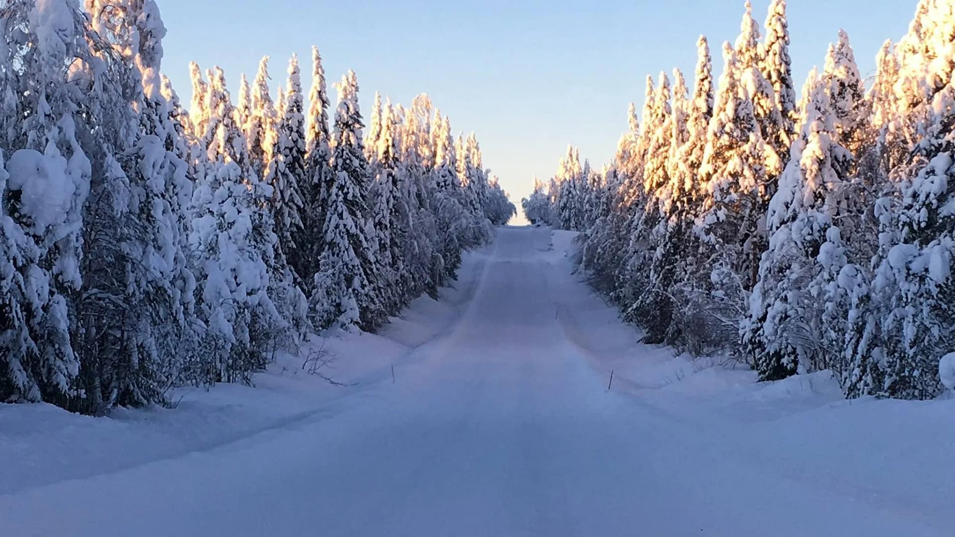 Micro-terrain. Raate Road battlefield. The Red Army was largely road bound while the Finns moved freely in the snow covered forests.