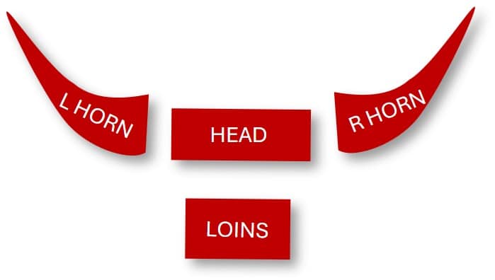 Zulu impondo zankhomo (buffalo horns) attack formation