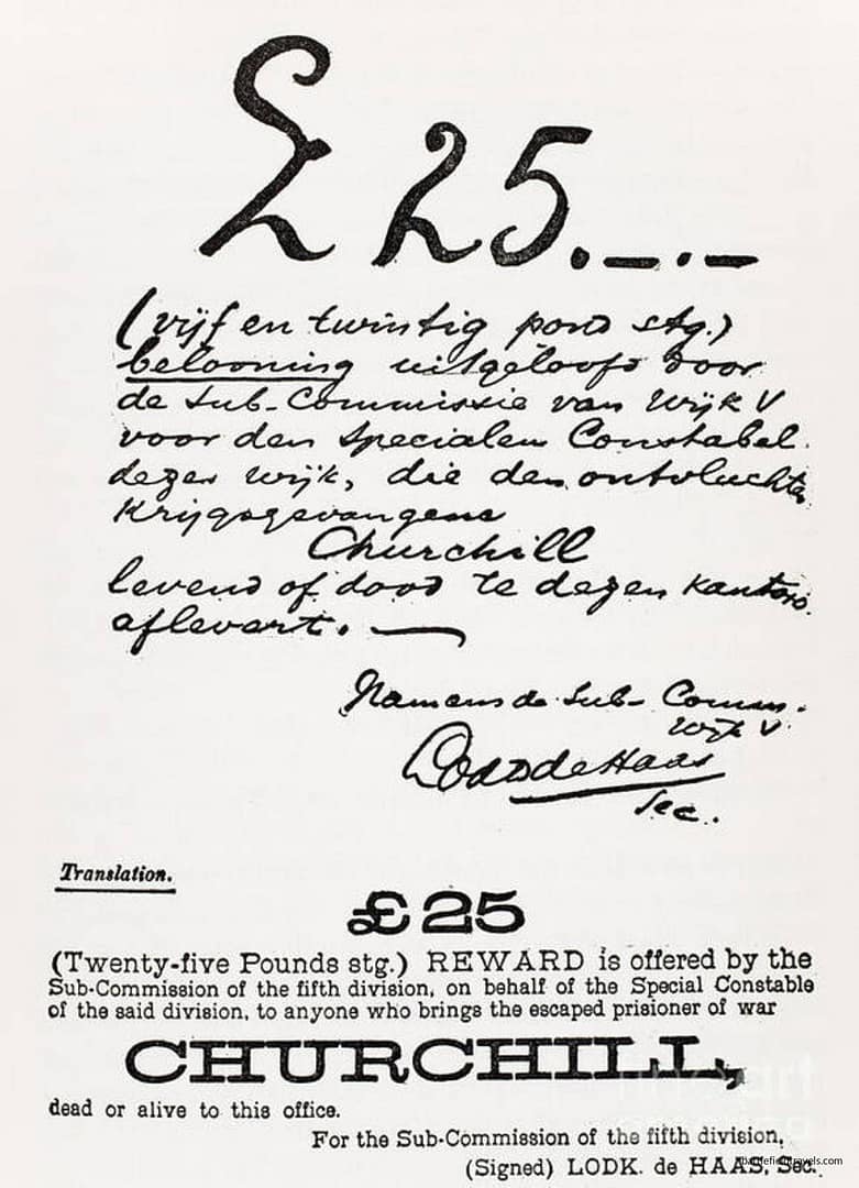 Boer Reward poster for the capture of Winston Churchill, dead or alive.