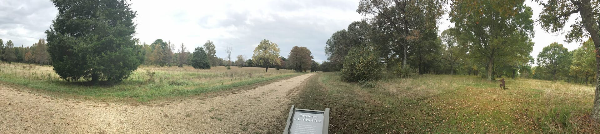 Battle of Cowpens, 17 January 1781