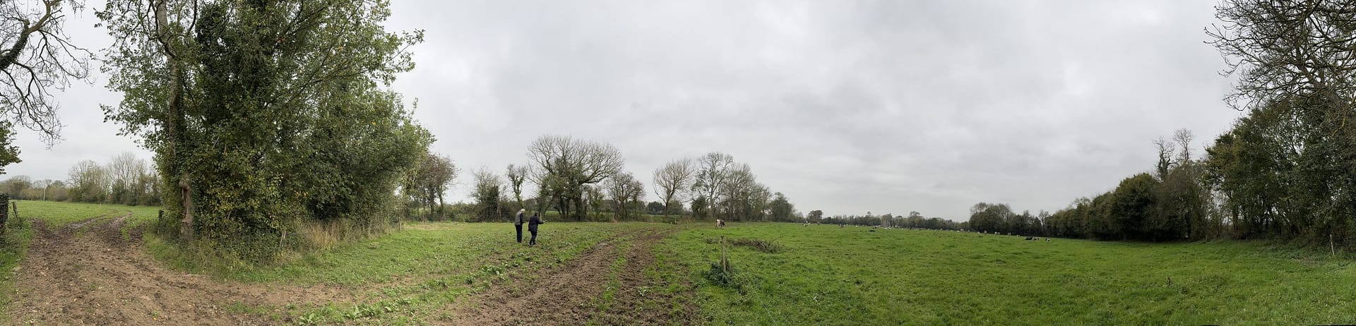 Panoramic view across the Brecourt Manor battlefield from near the #1 gun position